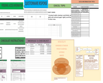 INDIVIDUAL DATA SECURITY PLAN (DSP) MODULE 4